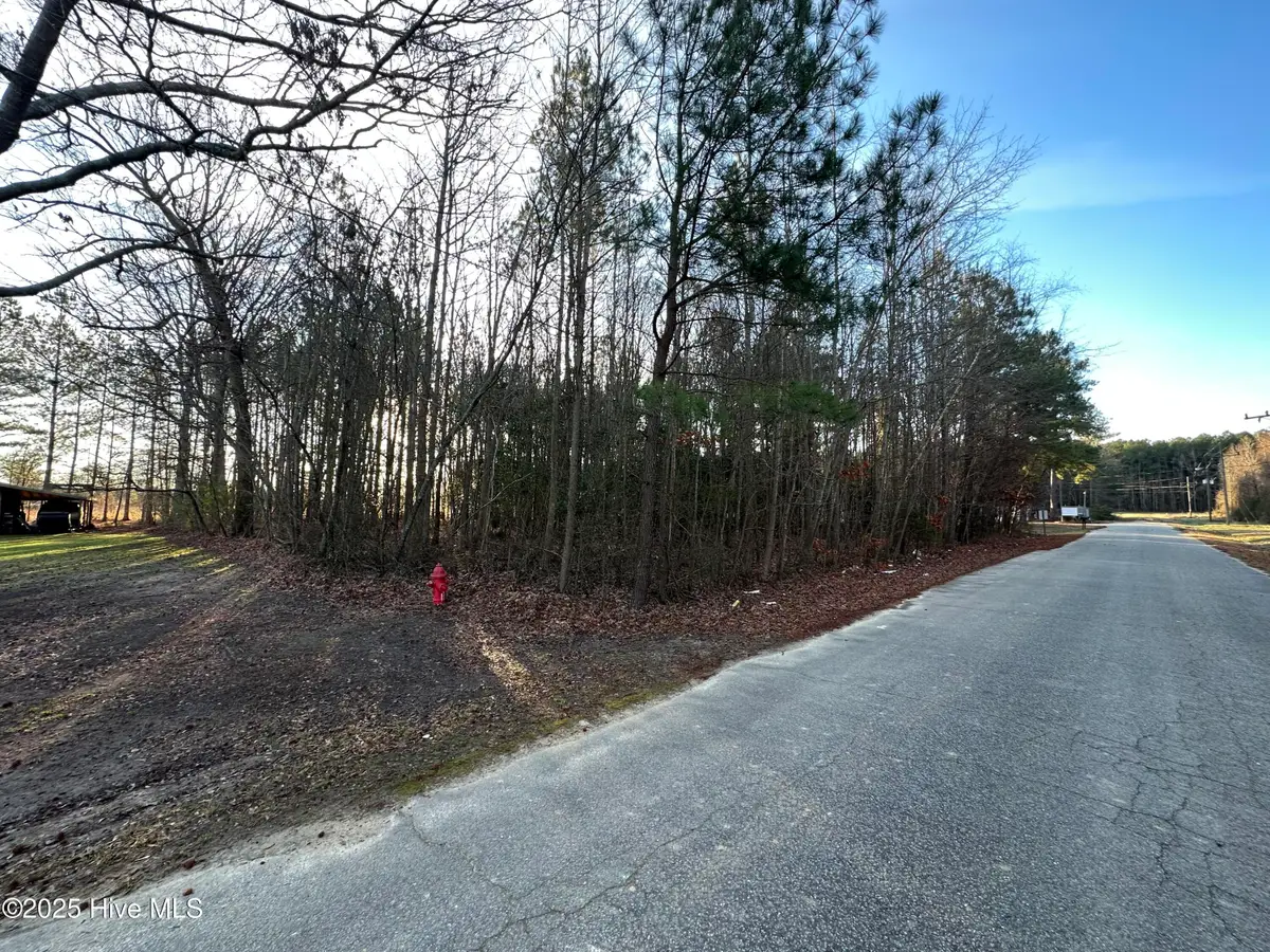 Tbd Pine Street, Conway, NC 27820 - Image #1