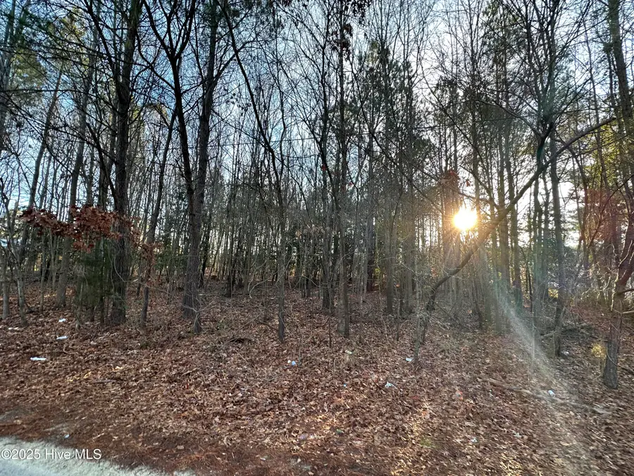 Tbd Pine Street, Conway, NC 27820 - Image #3