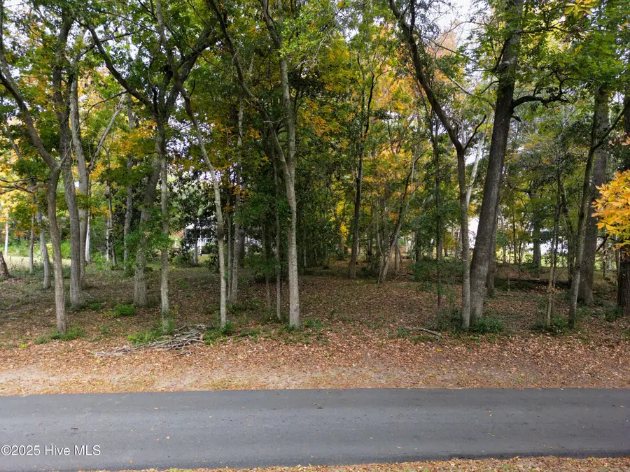 9086 Ocean Harbour Golf Club Drive Sw, Calabash, NC 28467 - Image #2