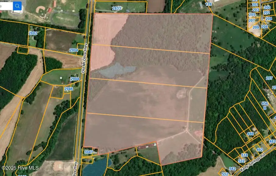 1 Old Mount Olive Highway, Mount Olive, NC 28365 - Image #1