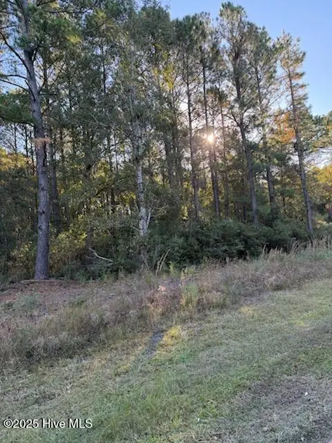 1565 Driftwood Drive Sw, Ocean Isle Beach, NC 28469