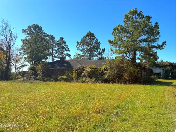 4688 Nc 99 Highway S, Pantego, NC 27860