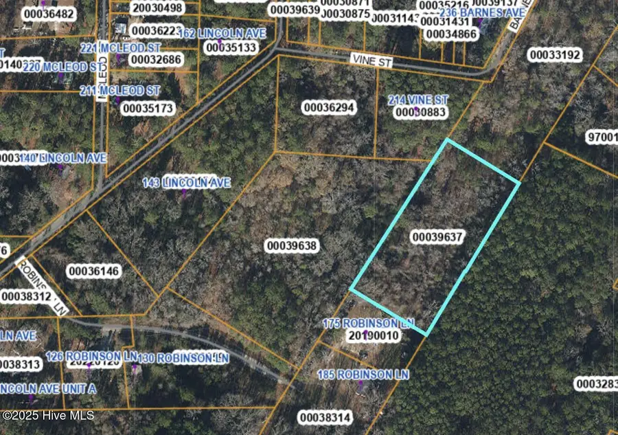 Tbd Robinson Lane, Vass, NC 28394 - Image #3