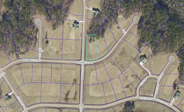 134 N Brightleaf Drive, Minnesott Beach, NC 28510