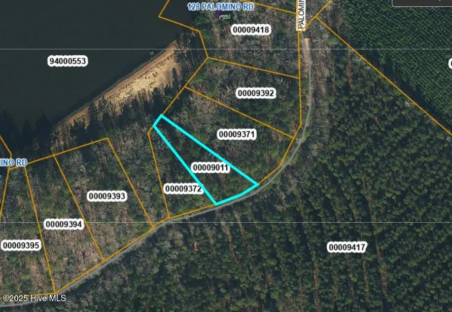 Lot 51 A Palomino Road, Carthage, NC 28327 - Image #1