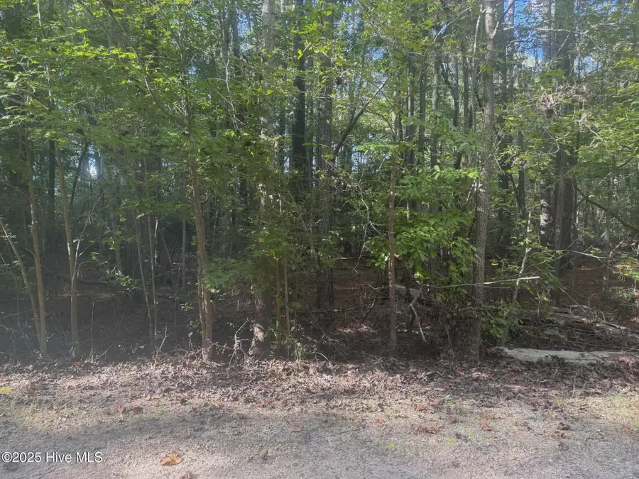 Lot 51 A Palomino Road, Carthage, NC 28327 - Image #3
