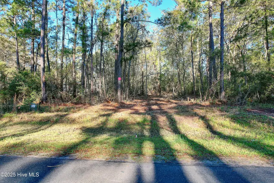 2151 River Street Sw, Supply, NC 28462 - Image #2