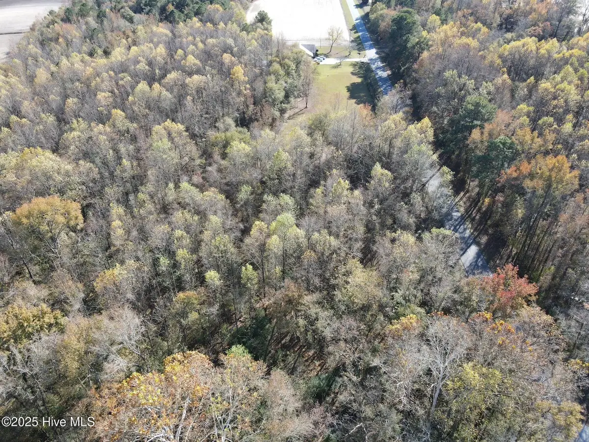 Lot 1 Alton Phillips Road, Kinston, NC 28504 - Image #1