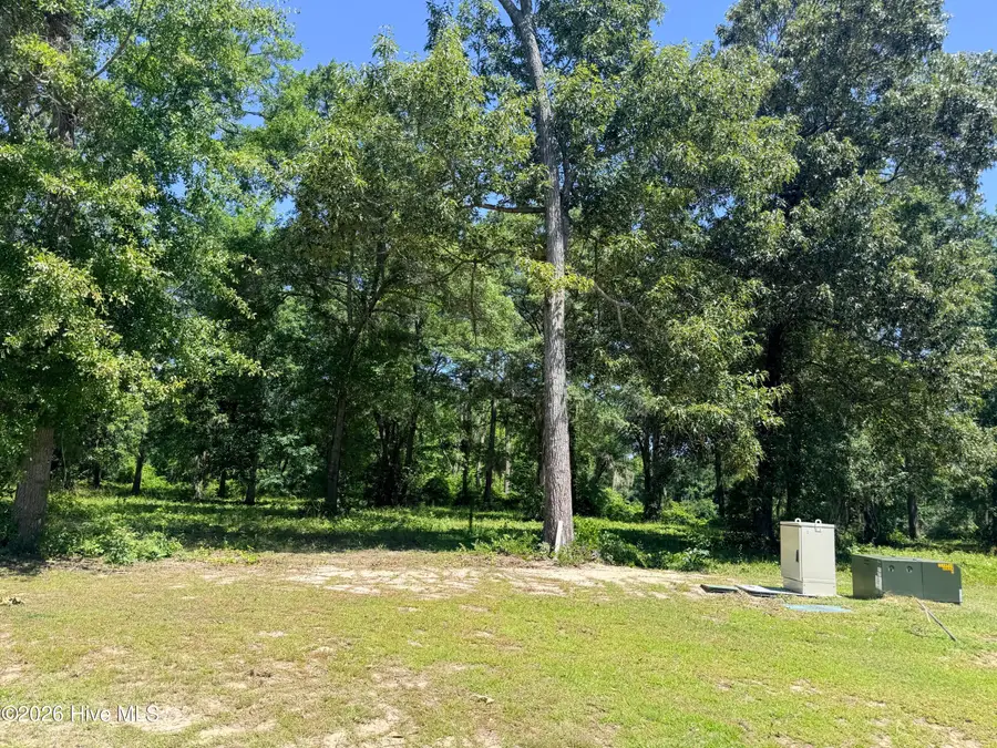 3805 River Park Way Ne, Leland, NC 28451 - #2