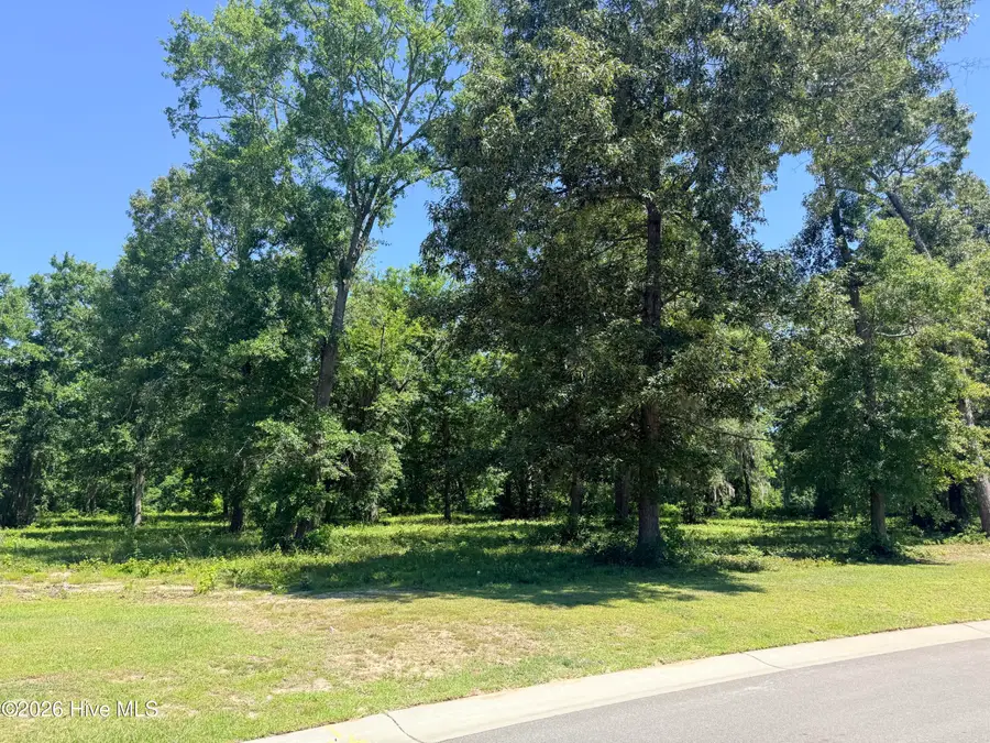 3805 River Park Way Ne, Leland, NC 28451 - #3