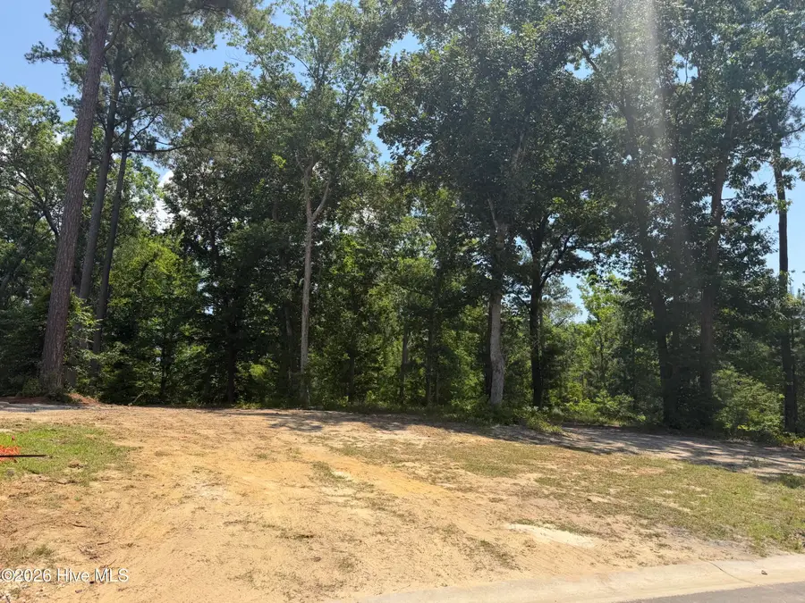 3864 River Park Way Ne, Leland, NC 28451 - #2