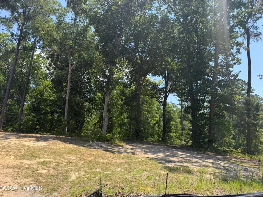 3864 River Park Way Ne, Leland, NC 28451 - #3