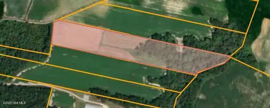 Parcel 2 Thunder Swamp Road, Mount Olive, NC 28365