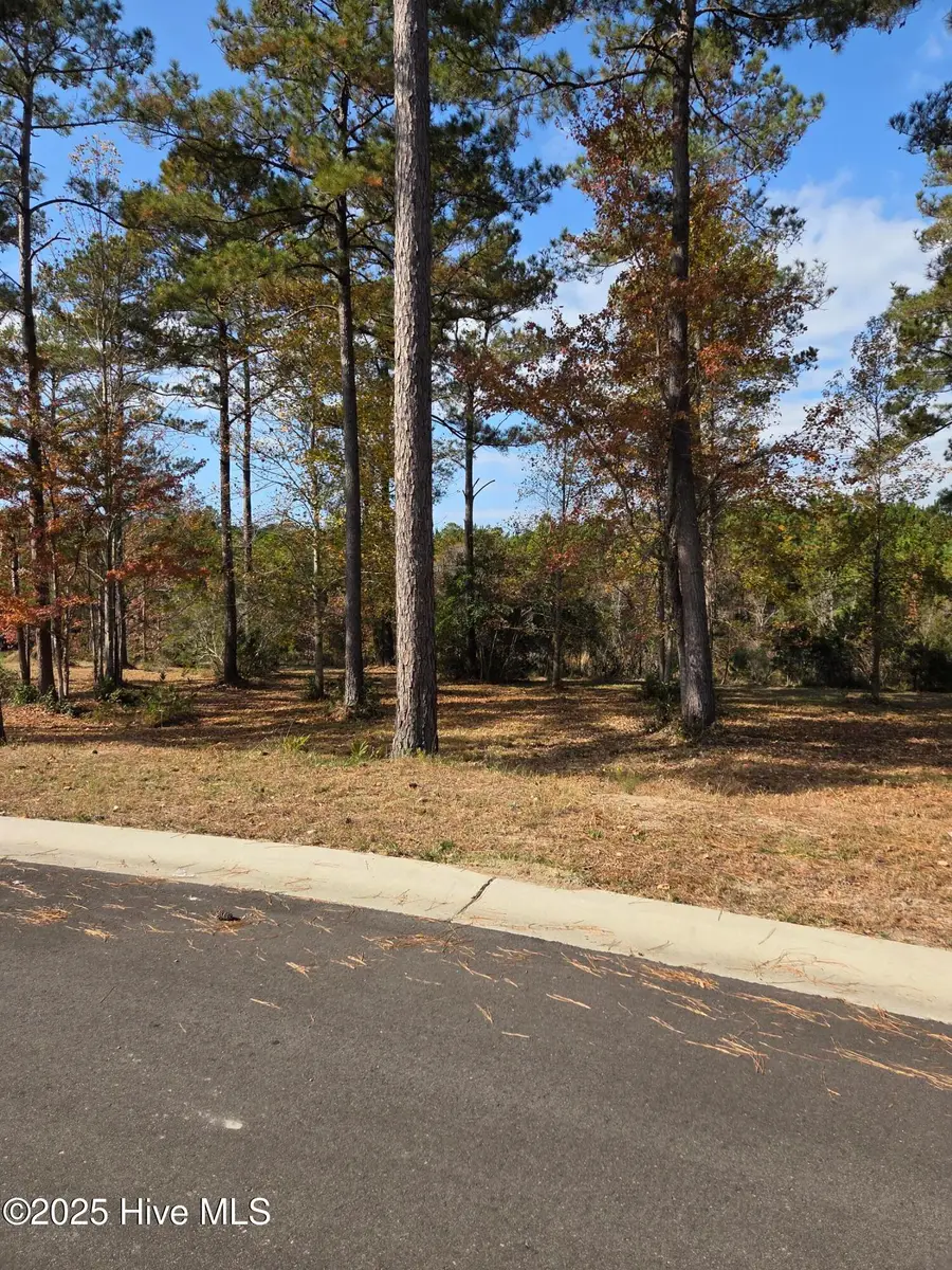 7475 Donegal Circle Sw, Sunset Beach, NC 28468 - Image #3