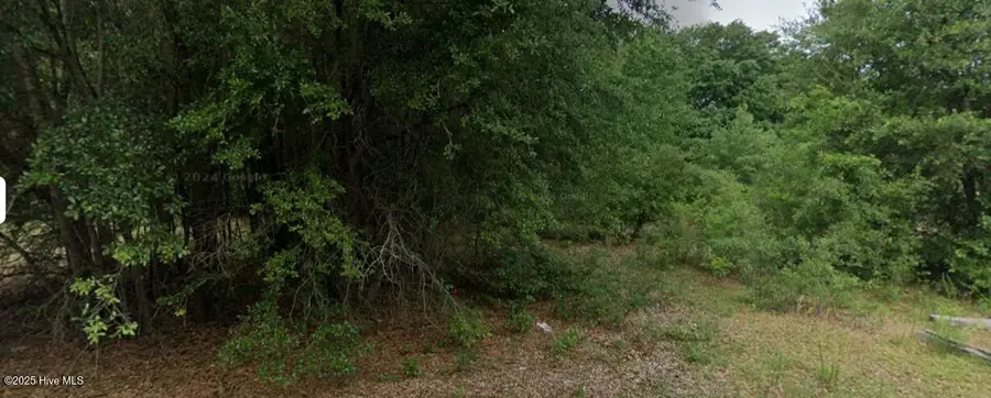 00 Patton Street, Hamlet, NC 28345 - Image #3