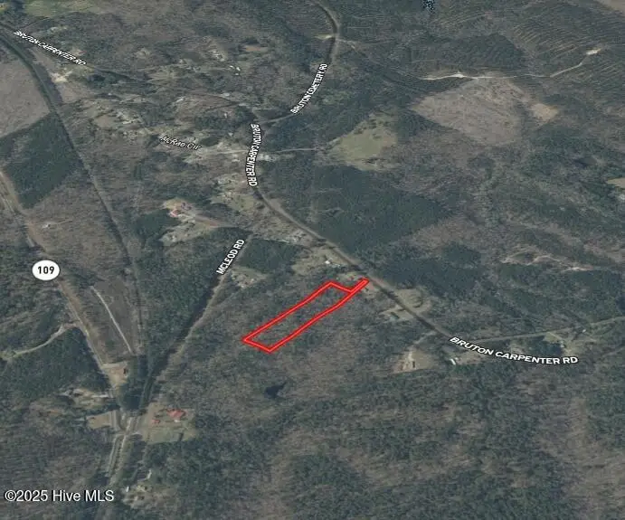 0 Bruton-carpenter Rd Nc Road, Mount Gilead, NC 27306 - Image #2