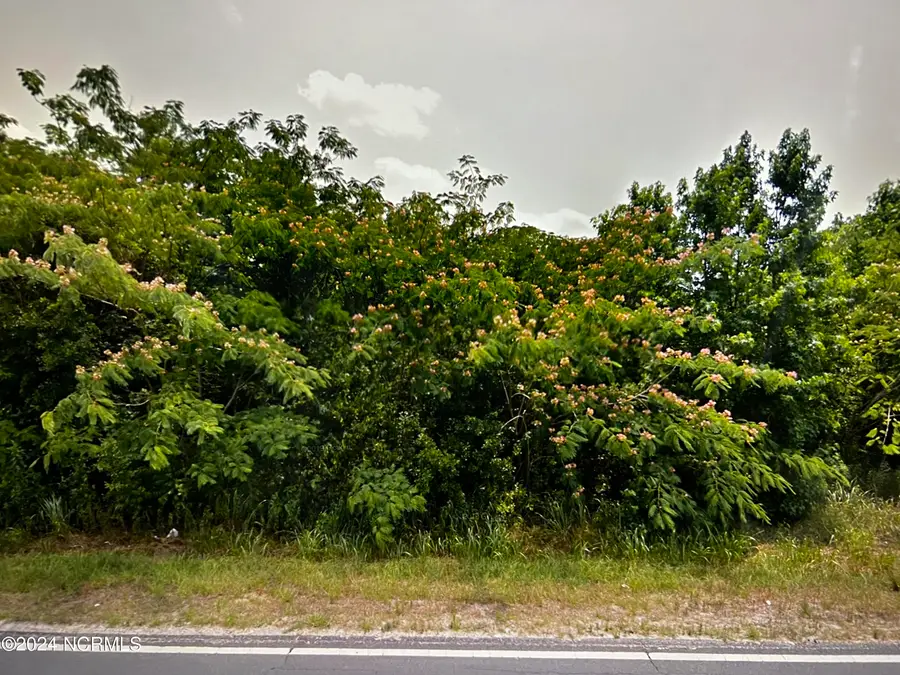 Tbd S Robeson Road, Rowland, NC 28383 - Image #2