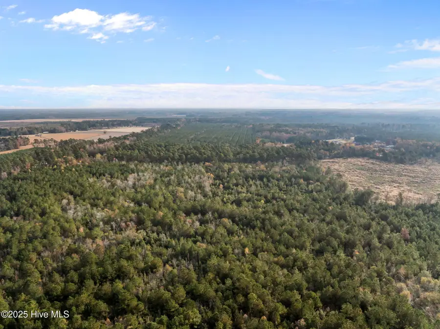 1449 Pameter Road, Hallsboro, NC 28442 - Image #2