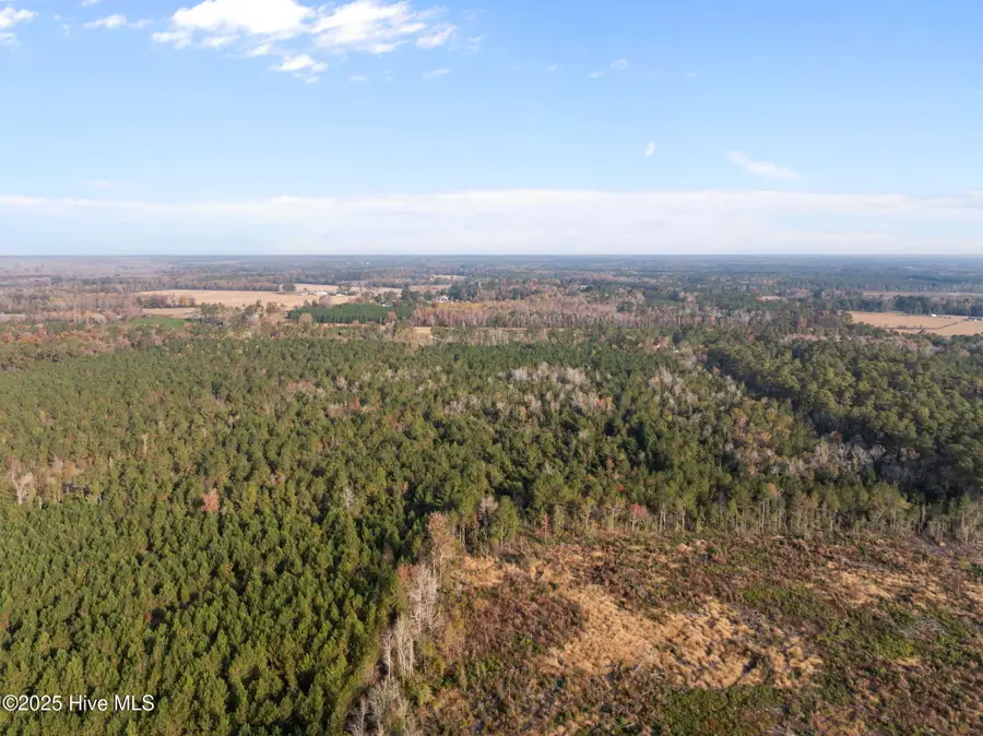 1449 Pameter Road, Hallsboro, NC 28442 - Image #3