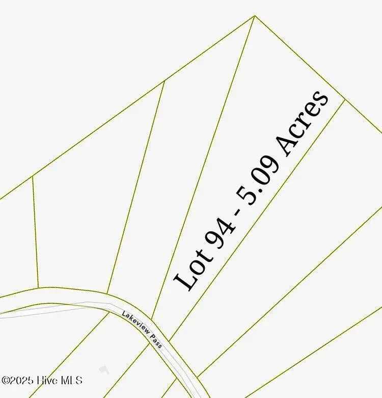 Tbd Lakeview Pass, Rockingham, NC 28379 - Image #3