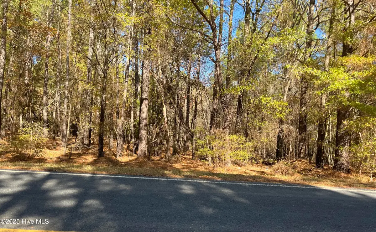 1646 Morgan Sellers Road, Wadesboro, NC 28170 - Image #1