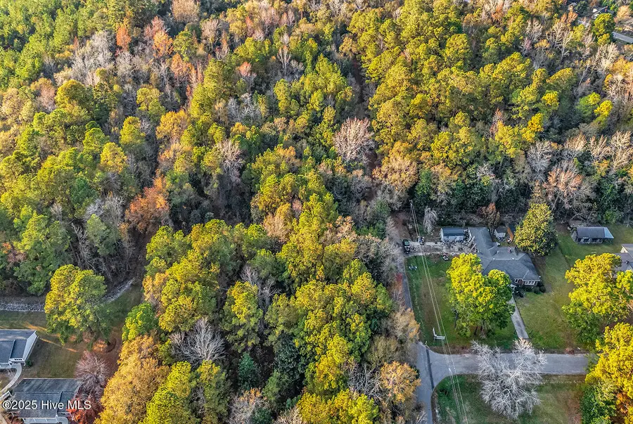 0 Woodrow Street, Tabor City, NC 28463 - Image #2