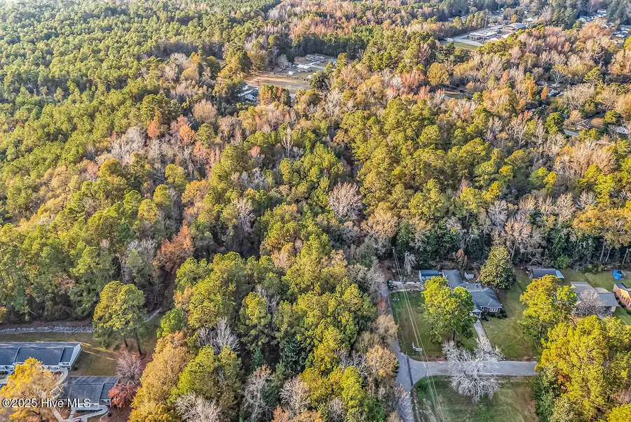 0 Woodrow Street, Tabor City, NC 28463 - Image #3