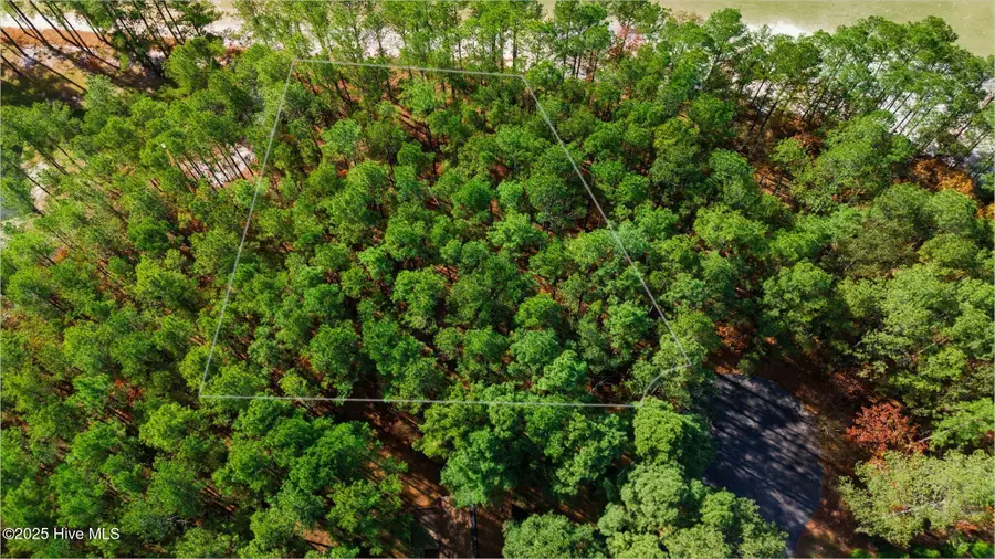 Lot 28 Bluebird Lane, Wagram, NC 28396 - Image #3