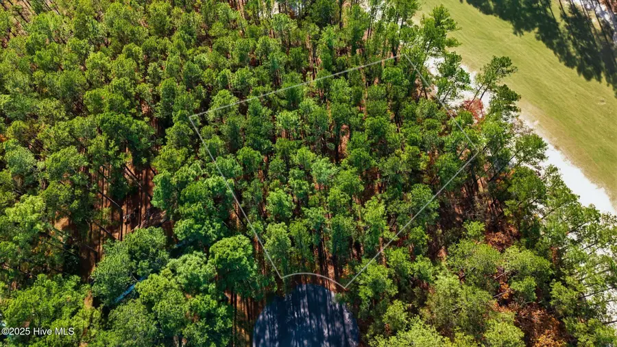 Lot 29 Bluebird Lane, Wagram, NC 28396 - Image #2