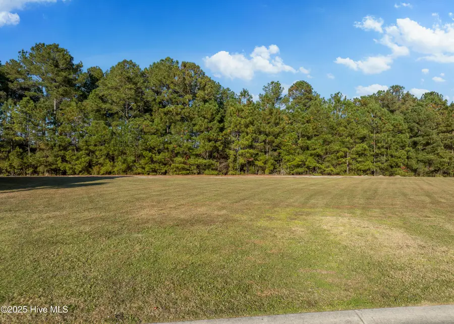 193 Twining Rose Lane, Holly Ridge, NC 28445 - Image #3