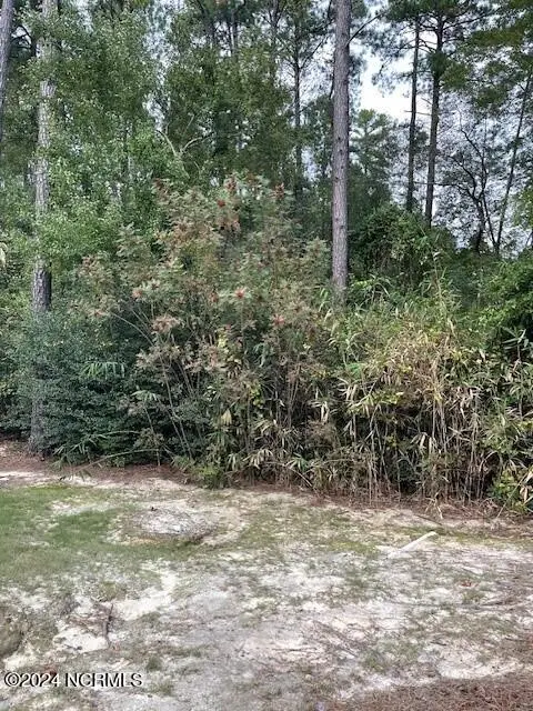 5 Raintree Court, Pinehurst, NC 28374 - Image #2