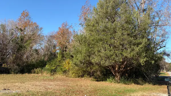 0 George Street, Belhaven, NC 27810