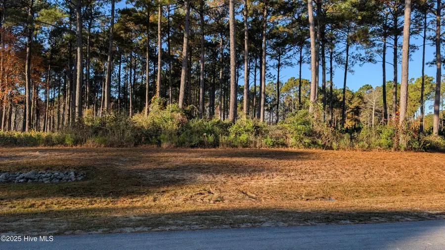 216 Alderman Landing Road, Holly Ridge, NC 28445 - Image #2