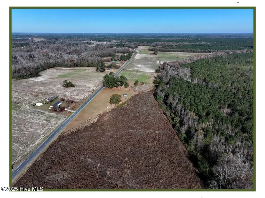 Lot 1 Wire Grass Road, Orrum, NC 28369 - #3