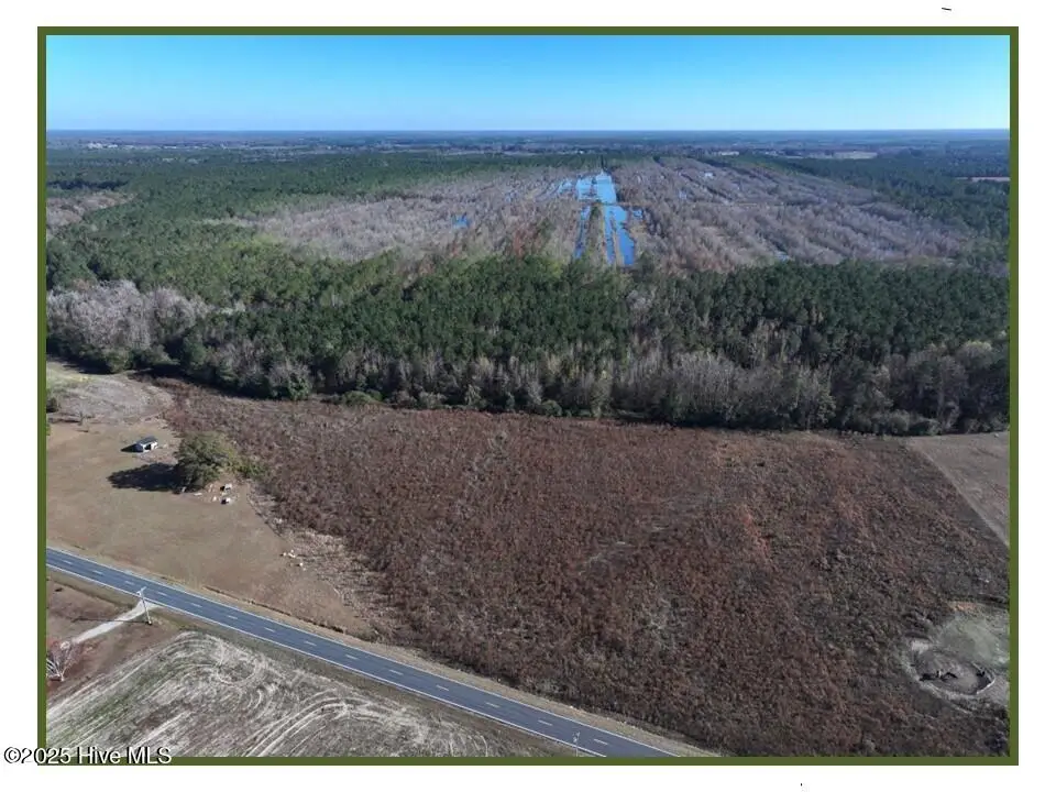 Lot 3 Wire Grass Road, Orrum, NC 28369 - #1