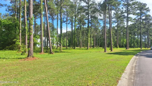 156 Dawson Creek Boulevard, Oriental, NC 28571