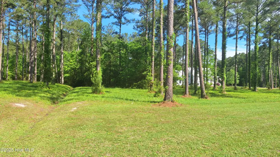156 Dawson Creek Boulevard, Oriental, NC 28571 - Image #3
