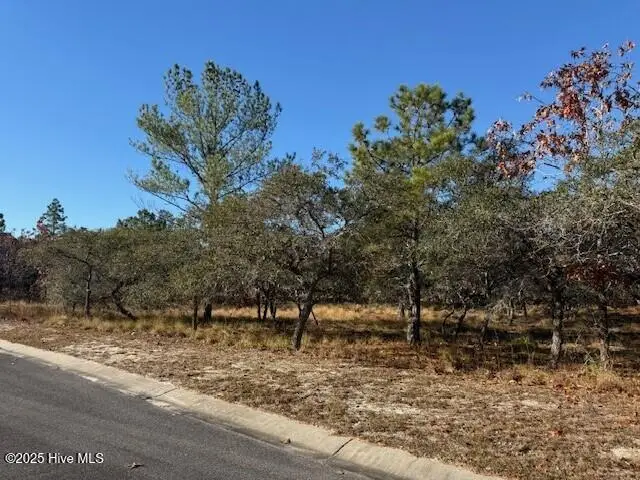 495 Antilla Drive Se, Bolivia, NC 28422 - Image #2