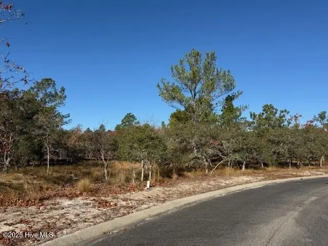 495 Antilla Drive Se, Bolivia, NC 28422 - Image #3