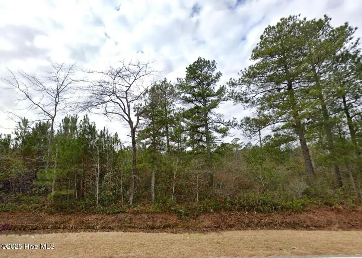 00 Elrod Road, Rowland, NC 28383 - Image #1