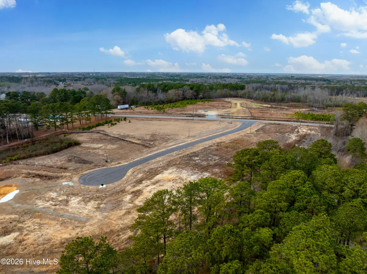 28 Stellars Sea Court, Benson, NC 27504 - #1