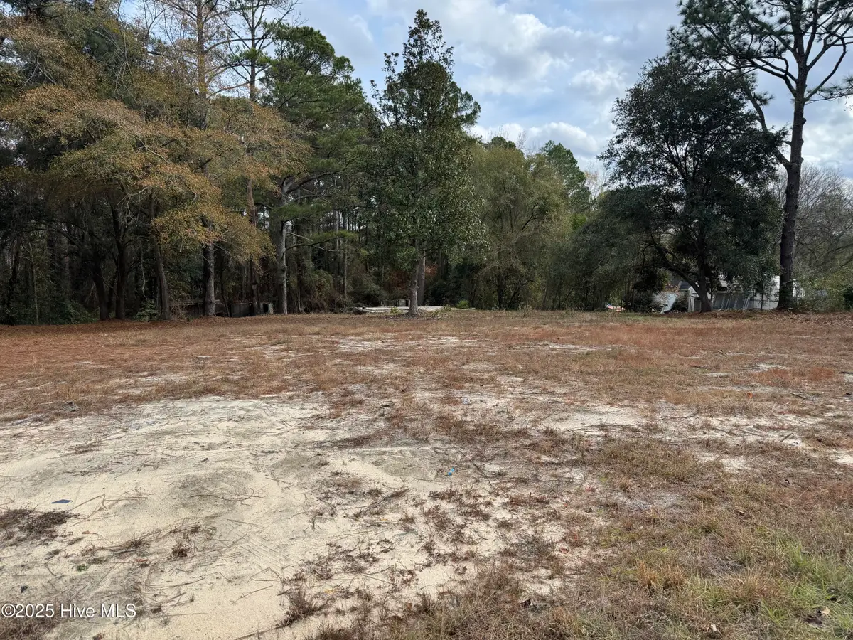 0 Ellerbe Road, Rockingham, NC 28379 - Image #1