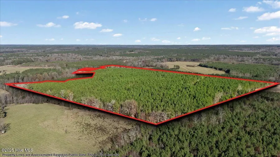 35895 Nc 561, Hollister, NC 27844 - Image #3