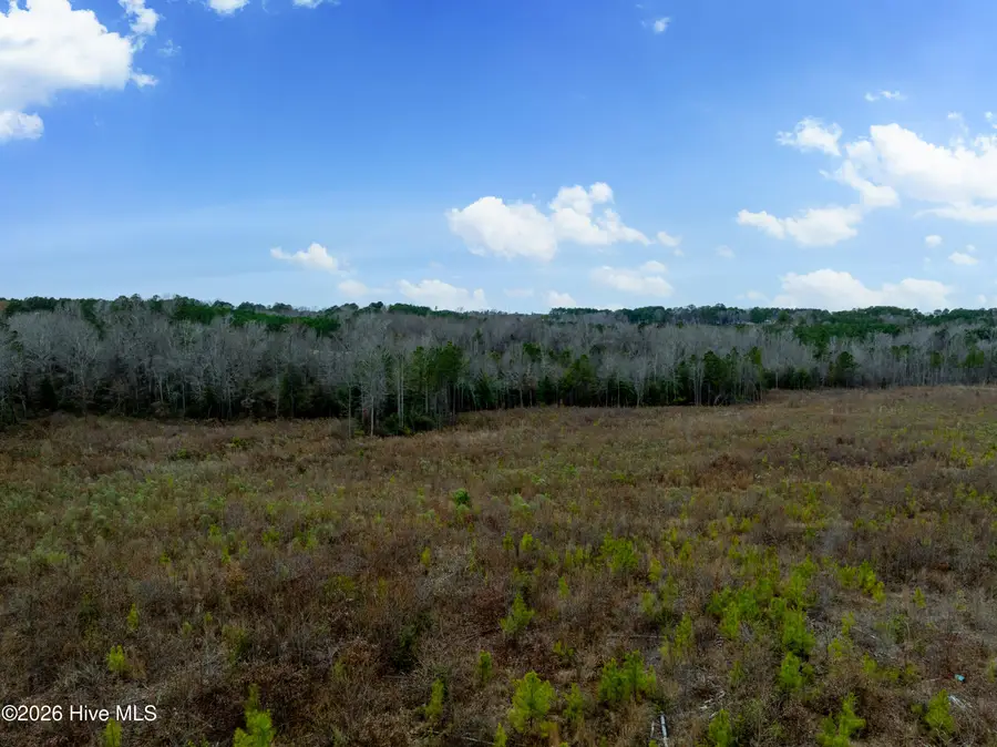 0 Memory Lane, Benson, NC 27504 - #3