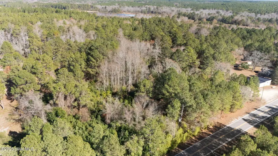 597 Addor Road, Pinebluff, NC 28373 - Image #3