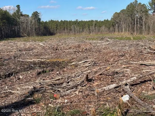 0 Crepe Myrtle Court, Wilson, NC 27896 - Image #1