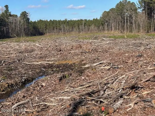 0 Crepe Myrtle Court, Wilson, NC 27896 - Image #3