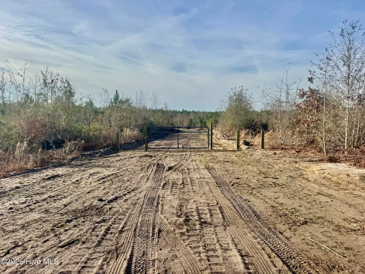 350 Dowd Dairy Road, White Oak, NC 28399 - Image #1