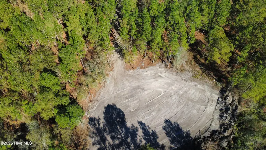 350 Dowd Dairy Road, White Oak, NC 28399 - Image #2