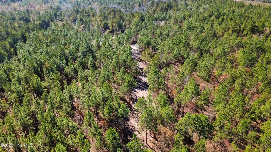 350 Dowd Dairy Road, White Oak, NC 28399 - Image #3